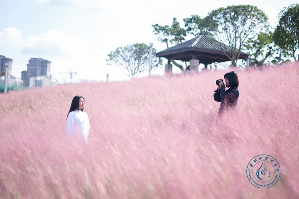 紫金公园 (1)_副本