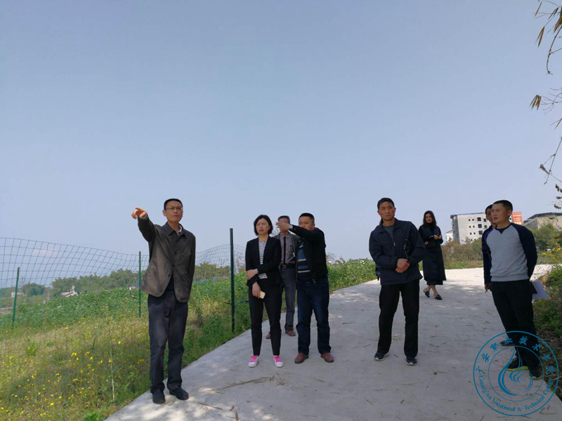 袁祖洪了解生产情况