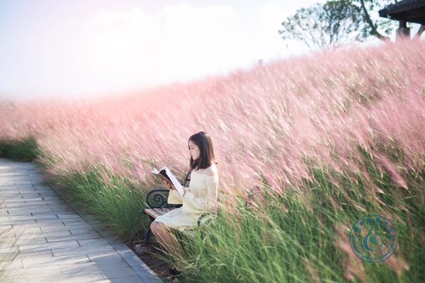 6U3A8978-编辑_副本